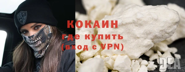 прущие грибы Аркадак