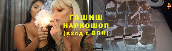 прущие грибы Аркадак