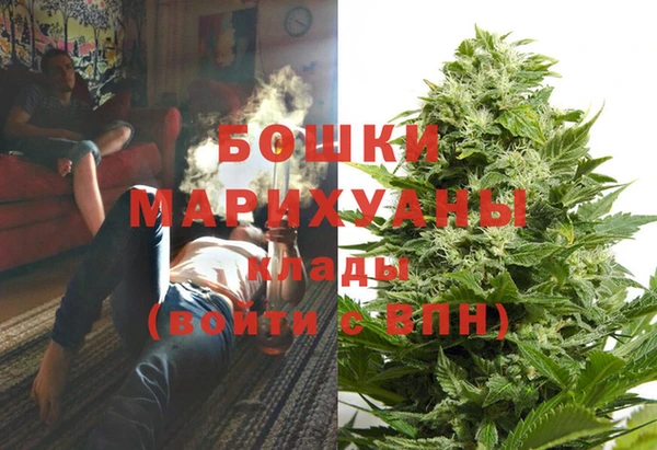 прущие грибы Аркадак