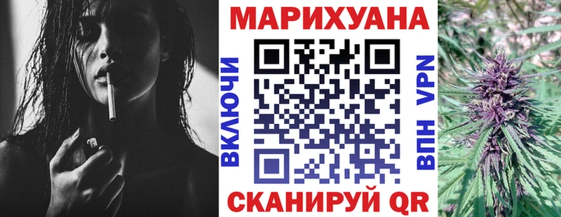 Канабис сатива Минусинск